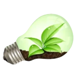 sustainable_growth_bulb