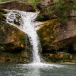 Waterfall Business Case Success Story