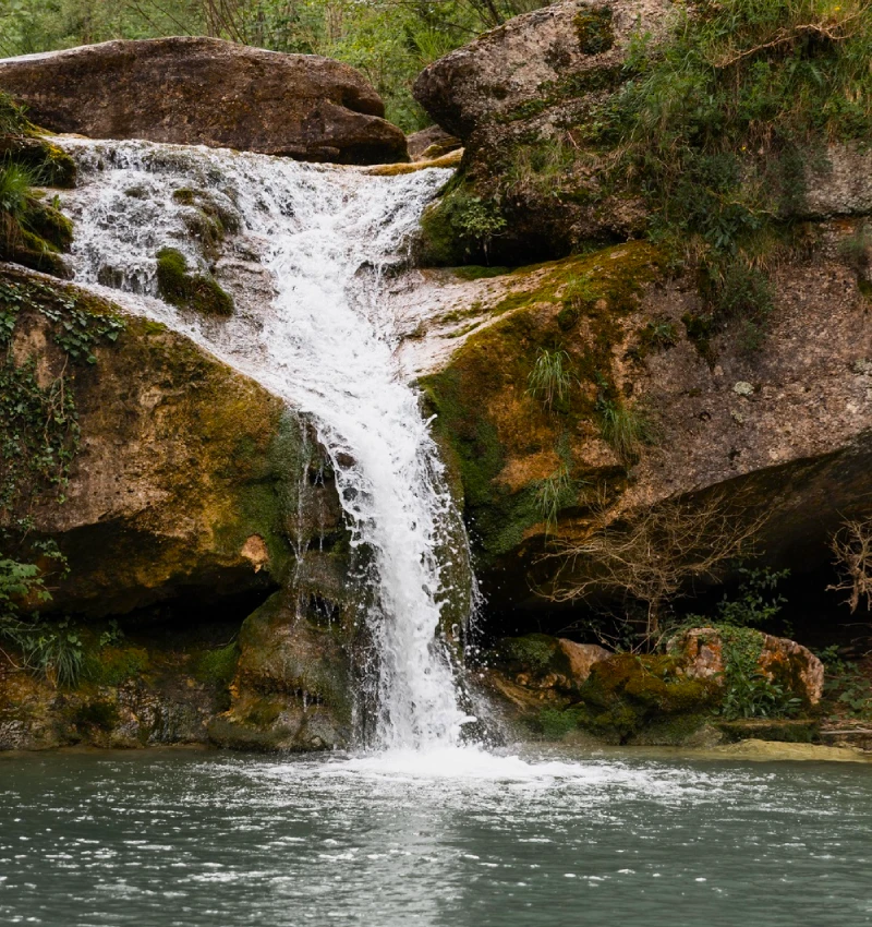 Waterfall Business Case Success Story